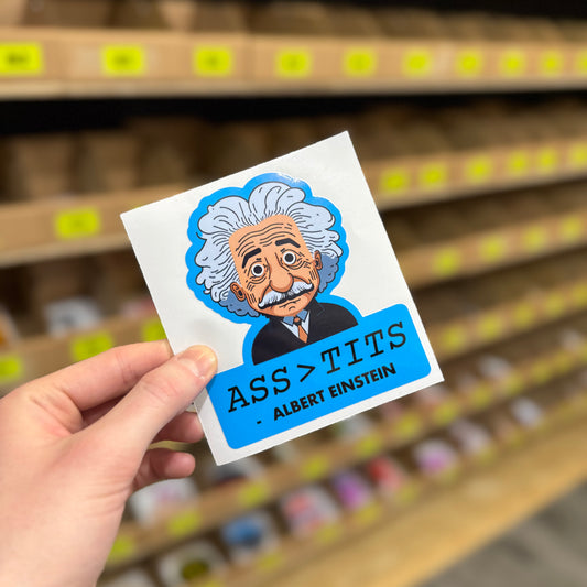 Funny cartoon Einstein sticker with humorous quote text novelty vinyl decal