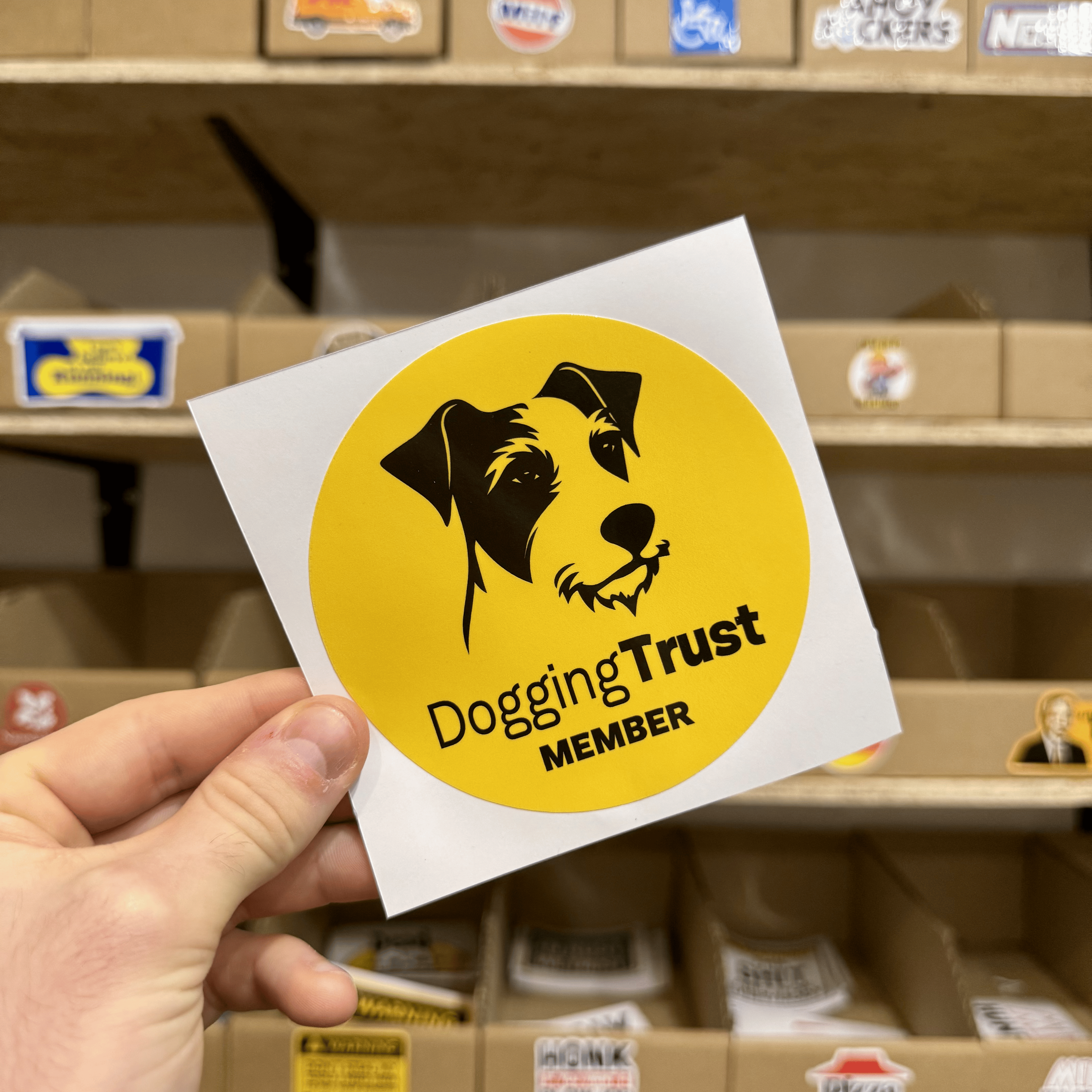 Yellow circular sticker with a black illustration of a dog’s face and the text ‘Dogging Trust Member.’