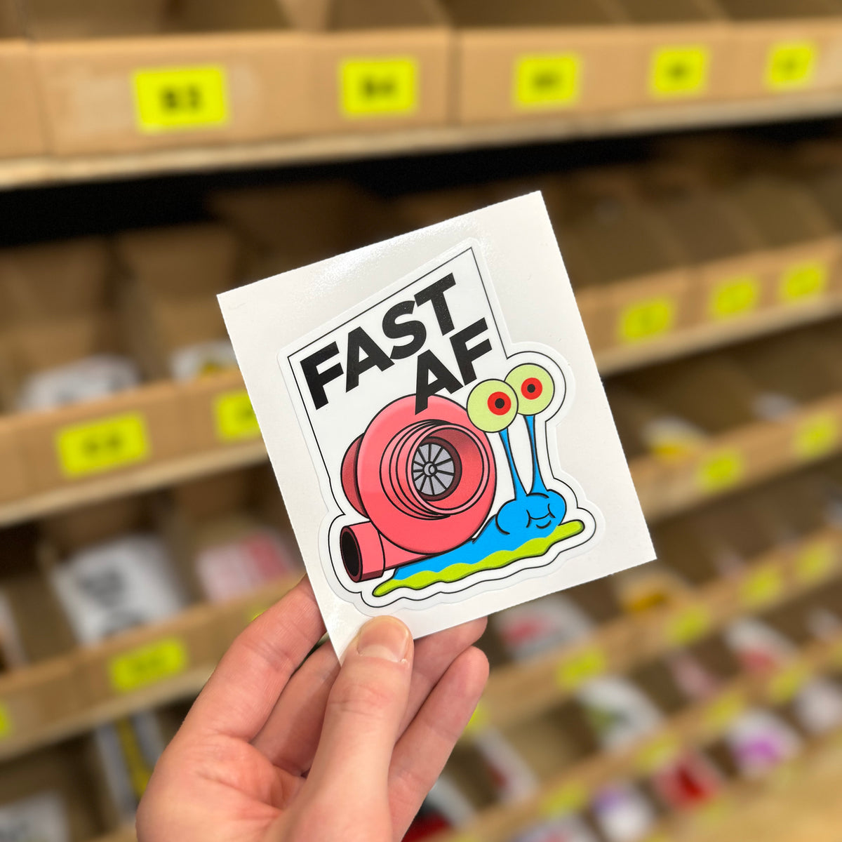 Cute Snail Sticker - Fast & Free Shipping - Turbo Vinyl Cute Snail Sticker - Fast & Free Shipping - Turbo Vinyl