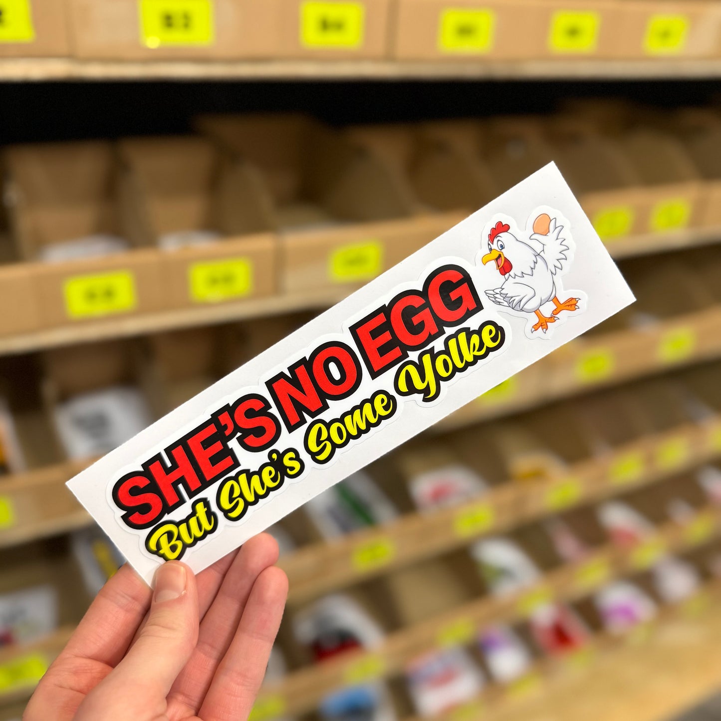 Funny car sticker reading “She’s No Egg But She’s Some Yolk” with cartoon chicken