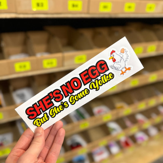 Funny car sticker reading “She’s No Egg But She’s Some Yolk” with cartoon chicken