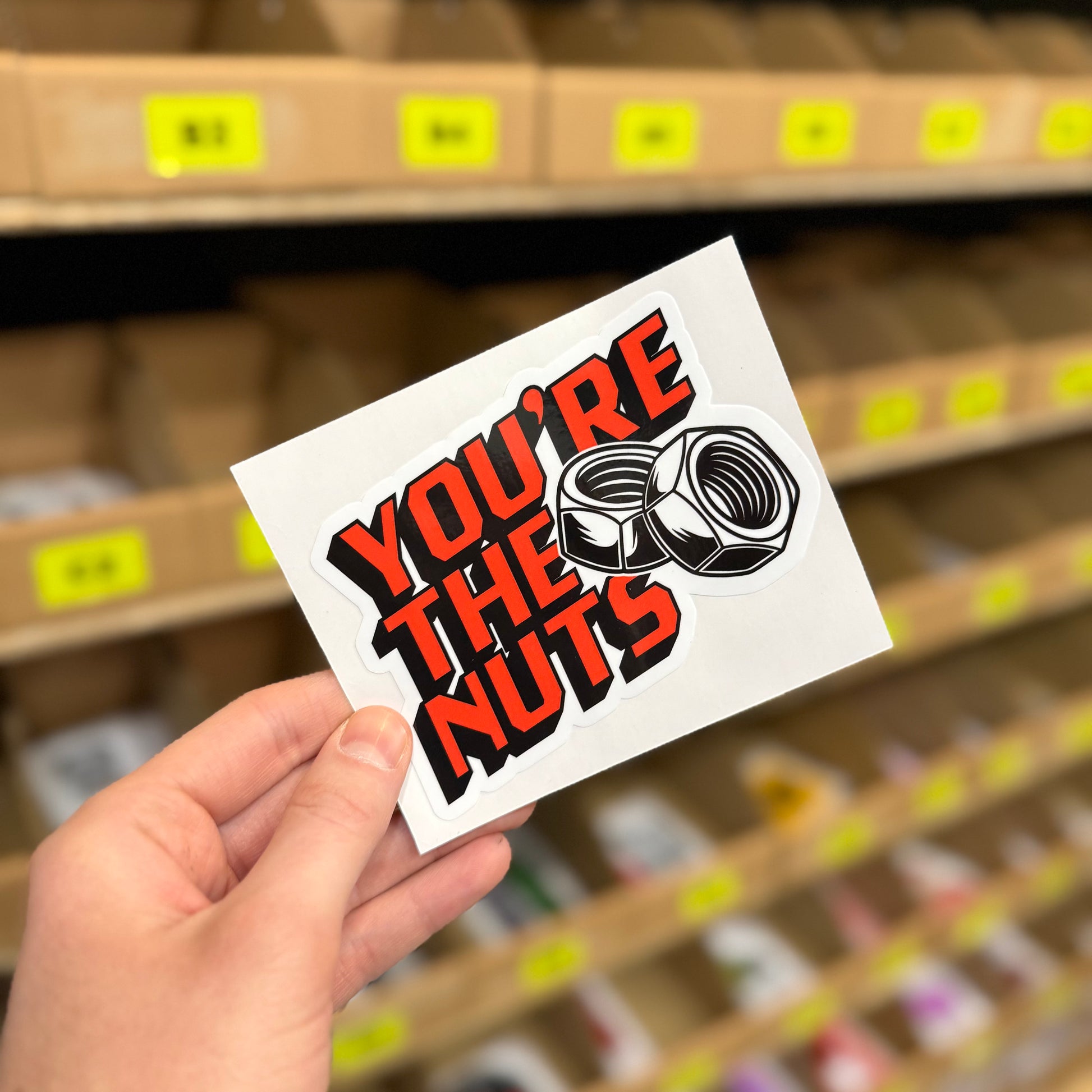 You’re The Nuts funny car sticker with bold red and black lettering and illustrated metal nuts graphic, photographed in Blum Decals workshop. Gloss laminated waterproof vinyl decal, ideal for cars, toolboxes and garages.